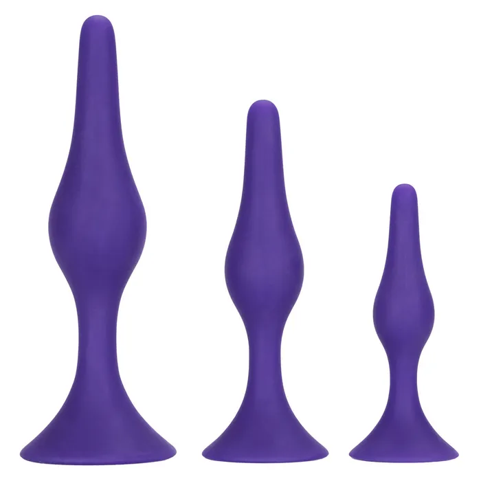 CalExotics Anal Booty Call Booty Trainer Kit Purple