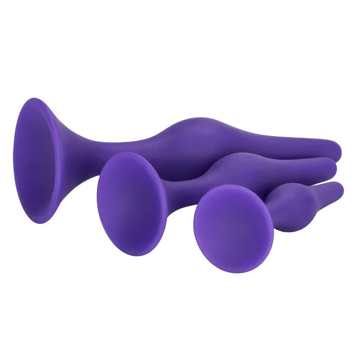 CalExotics Anal Booty Call Booty Trainer Kit Purple
