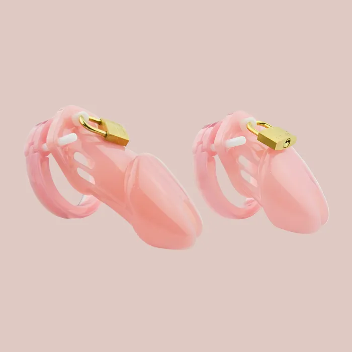 HOC600 Small Standard Chastity Device Kit House Of Chastity Male Sex Toys