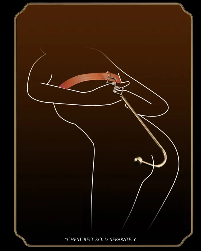 Anal Hook LOCKINK Anal