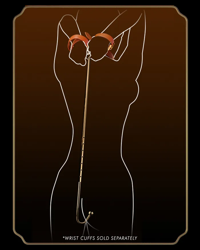 Anal Hook LOCKINK Anal