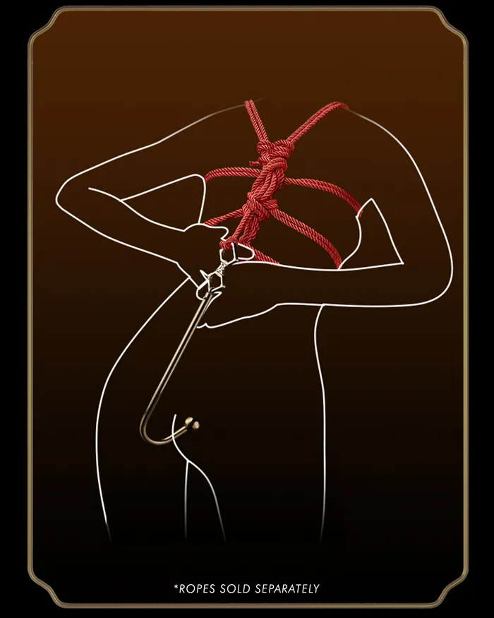 Anal Hook LOCKINK Anal
