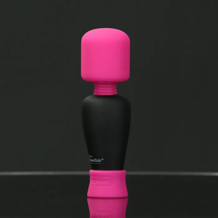 PalmPower Female Sex Toys PalmPower Pocket Rechargeable Mini Massager
