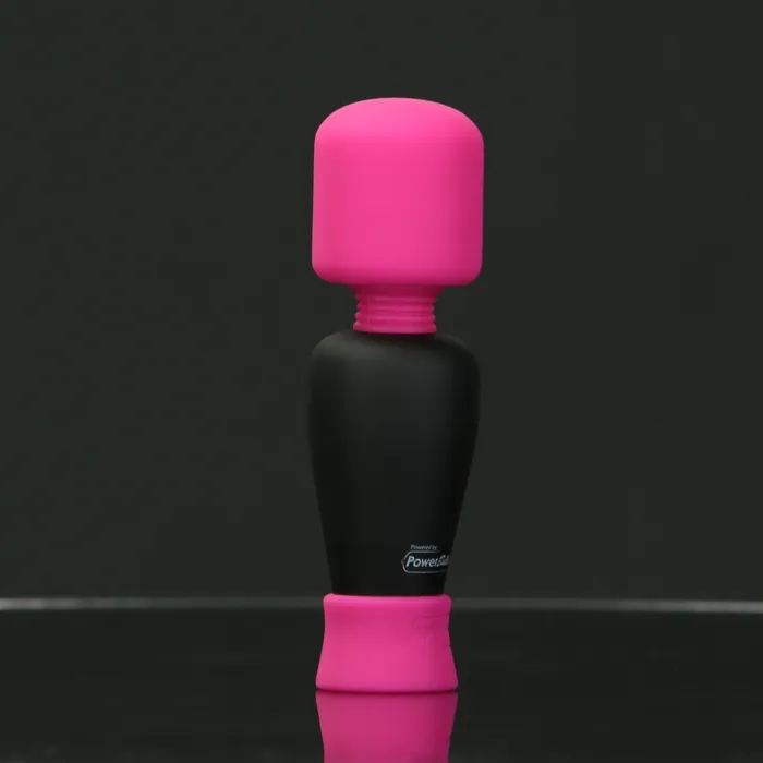 PalmPower Female Sex Toys PalmPower Pocket Rechargeable Mini Massager