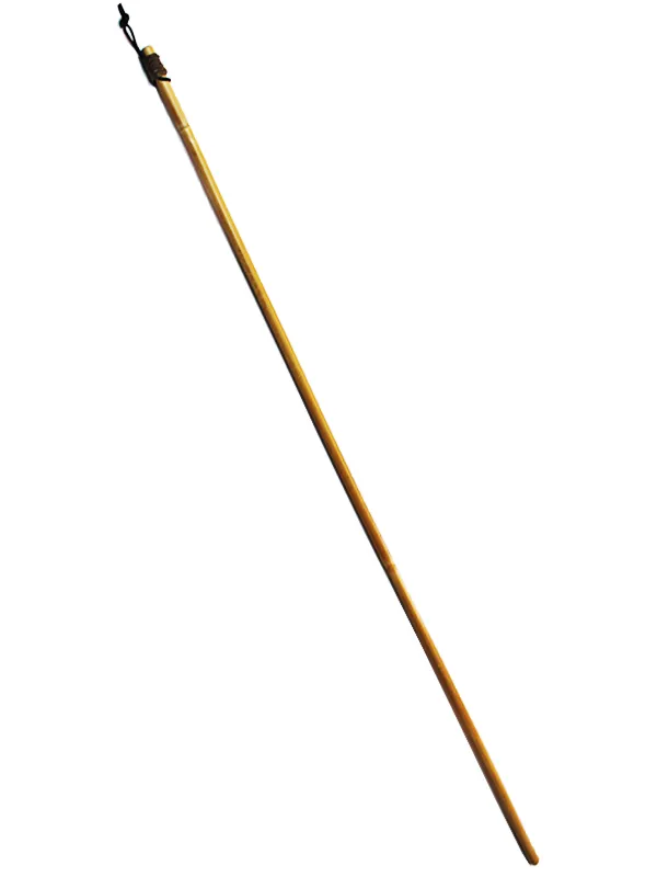 Vibrators Adrian Lewis Rattan Cane